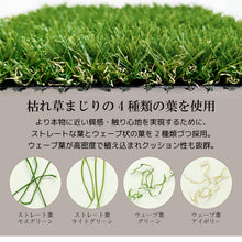 画像をギャラリービューアに読み込む, 人工芝 ロール 2m×5m 芝長25mm