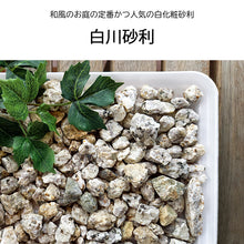 画像をギャラリービューアに読み込む, 【ダンプでの配送料込み】化粧砂利 白川砂利 約14-21mm(1㎥ or 1.5㎥)
