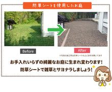 画像をギャラリービューアに読み込む, 【砂利との同時配送のみ】植樹防草シート 下敷き用 1m×20m巻き