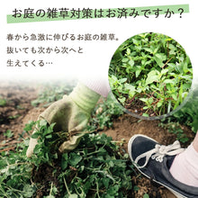 画像をギャラリービューアに読み込む, 【送料無料｜沖縄・離島除く】防草シート 黒 1ｍ×50ｍ巻き 下敷き用 50平米分 DG防草シート
